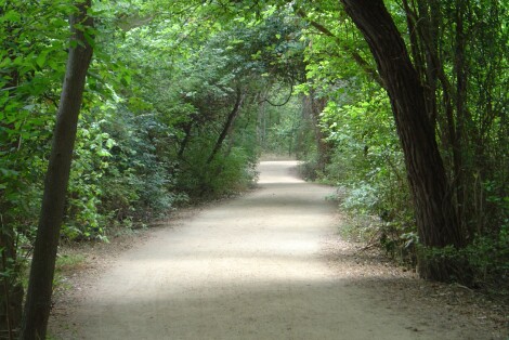 A peaceful running trail